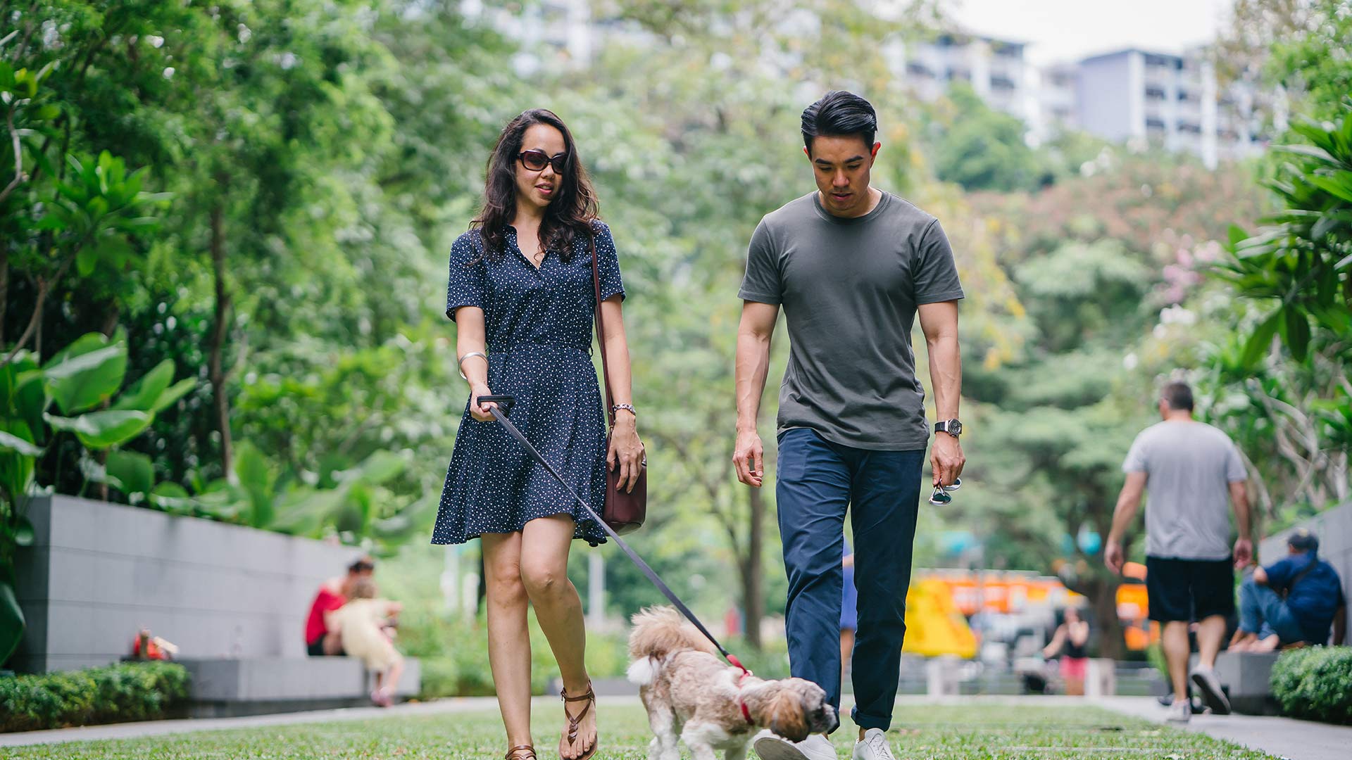 Couple walking dog in the park